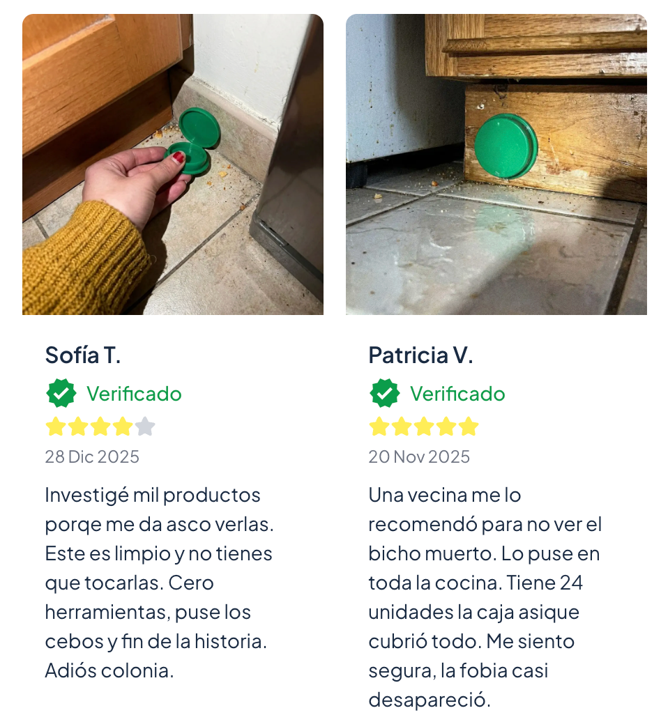 Cebo de Control Plagas - Elimina cucarachas