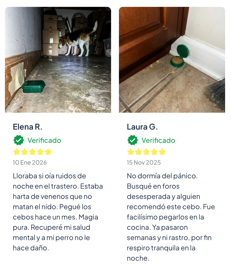 Cebo de Control Plagas - Elimina cucarachas