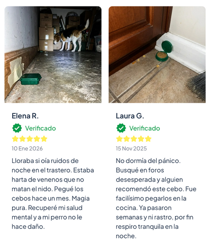 Cebo de Control Plagas - Elimina cucarachas